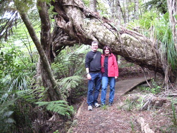 Bush Sand and Sea Bed and Breakfast Accommodation
