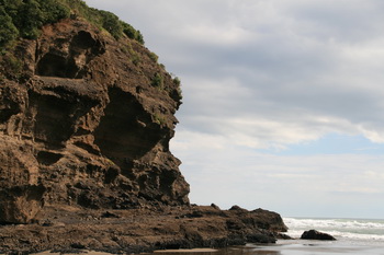 Bethells Beach Cafe