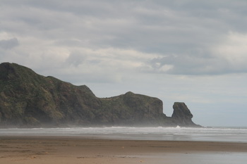 Bush Sand and Sea