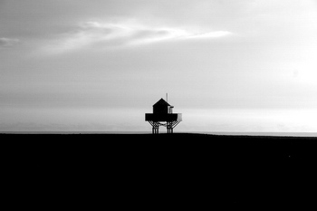 Bethells Beach - by Greg Presland