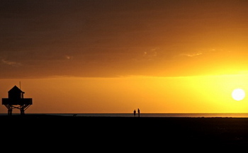 Bethells Beach - by Greg Presland