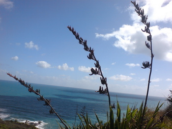 Bush Sand and Sea Bed and Breakfast Accommodation