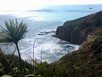 Bush Sand and Sea Bed and Breakfast Accommodation