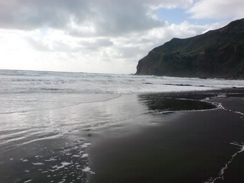 Bush Sand and Sea Bed and Breakfast Accommodation