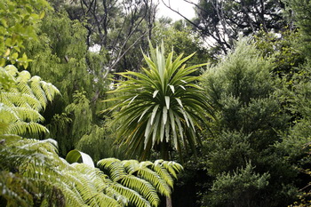 Bush Sand and Sea Bed and Breakfast Accommodation